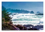 Wild Pacific Trail Wave 5x7 front thumbnail